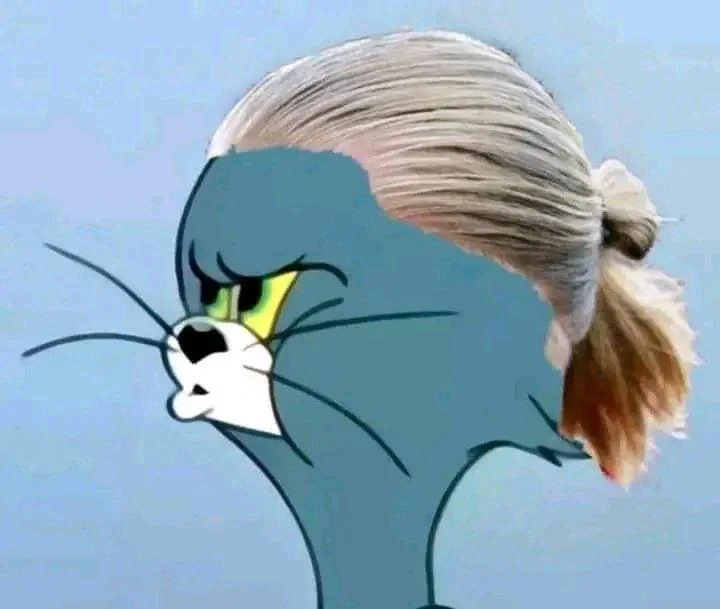 The cat just saw the chart